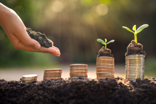 In nachhaltiges Wachstum investieren mit grünen Geldanlagen