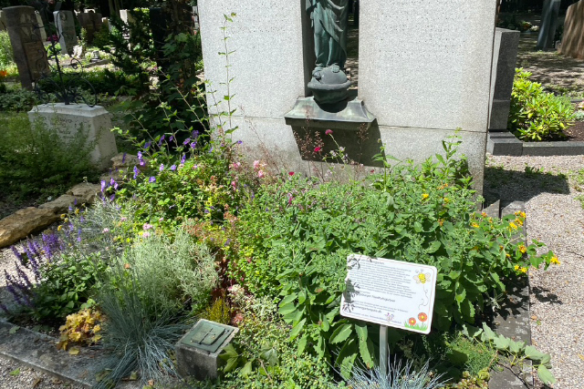insektenfreundliches Grab; ARGE Augsburger Friedhofsgärtner, Insektenrangerin, Friedhof Hermanstrasse
