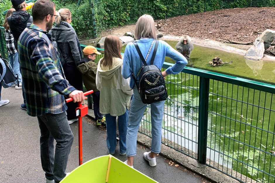 Tierisch viel Spaß: SSKA-Familientag im ZOO Augsburg