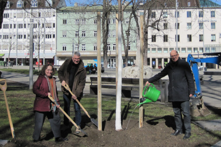 Landschaftsbau Saule Stiftung spendet neue Bäume für den Königsplatz