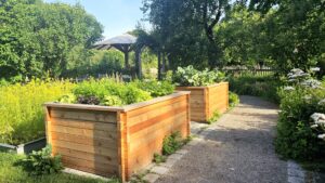 Zwei neu angelegte Hochbeete aus Holz, bepflanzt mit verschiedenen Gemüse- und Kräuterarten, stehen in einem sonnigen Bereich des Botanischen Gartens Augsburg. Umgeben von blühenden Pflanzen, Bäumen und einem Gartenweg laden sie zu einem nachhaltigen Gartenprojekt ein.
